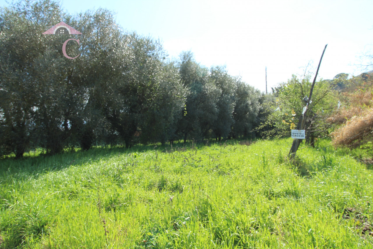 narni casa singola con terreno 13.jpg